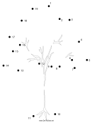 Stately Tree Dot-to-dot Sheet