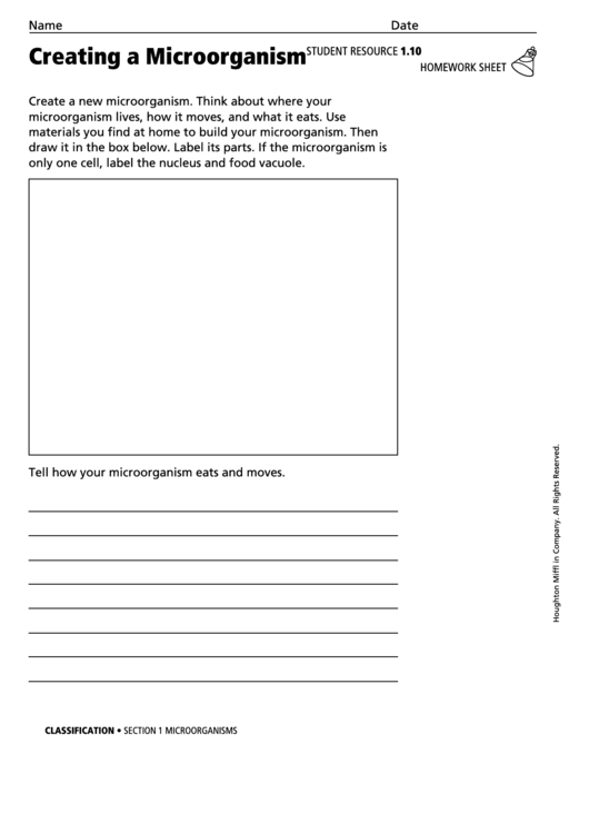 Creating A Microorganism Biology Worksheet Printable pdf