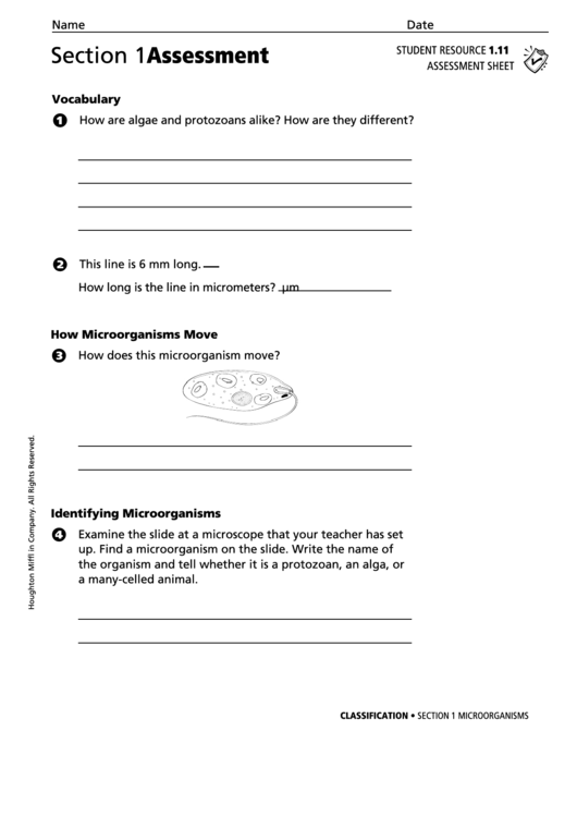 Section 1 Assessment Microorganisms Biology Worksheet Printable pdf