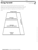 Energy Pyramid Biology Worksheet