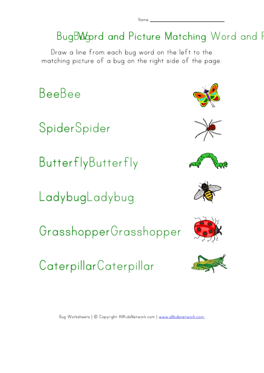 Bug Word And Picture Matching Worksheet Printable pdf