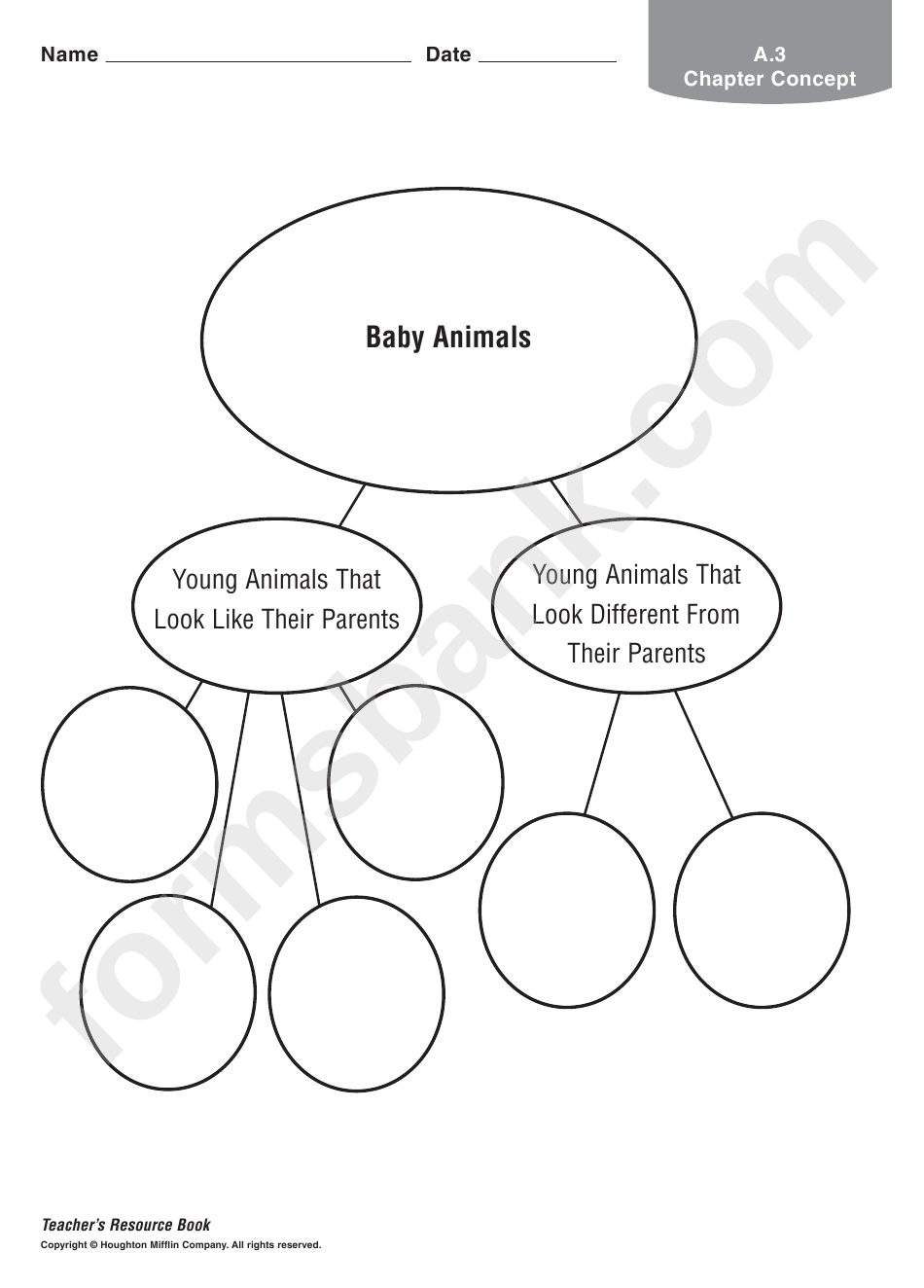 Baby Animals Biology Worksheet