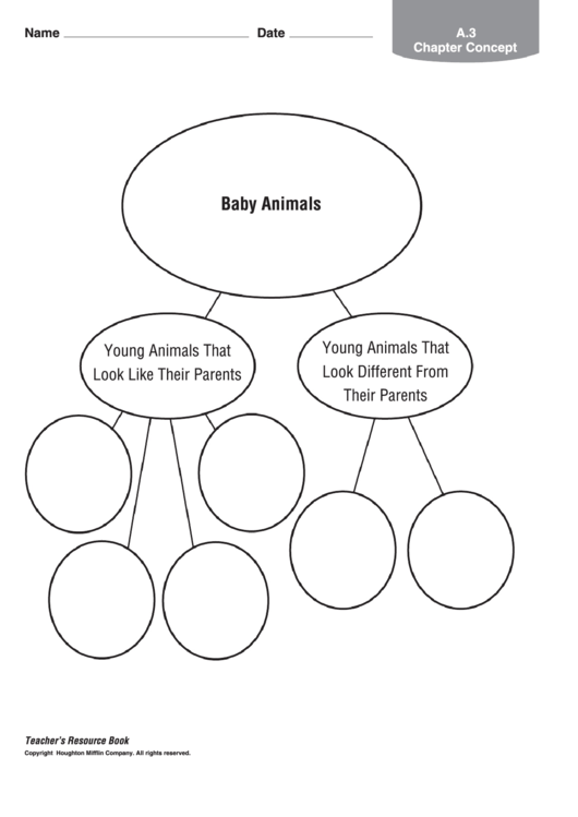 Baby Animals Biology Worksheet Printable pdf