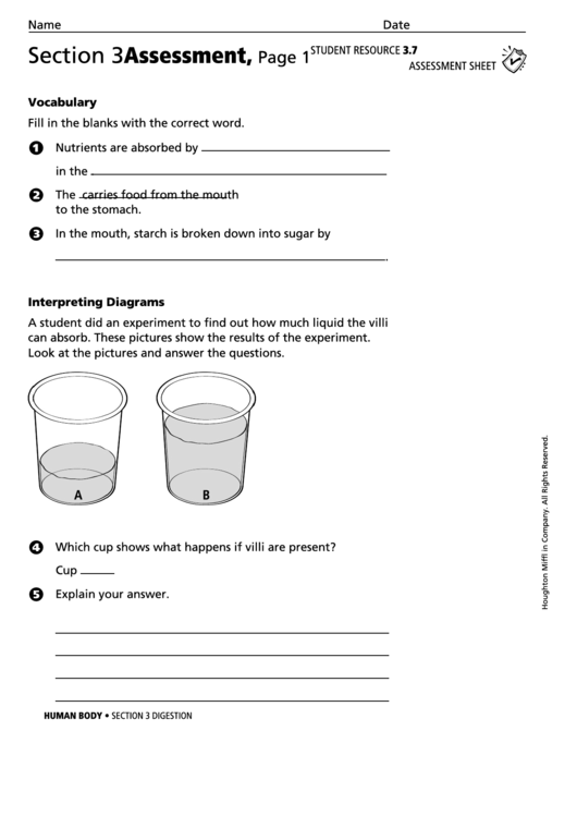 Assessment Sheet - Digestion Printable pdf