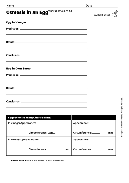 Activity Sheet - Osmosis In An Egg Printable pdf