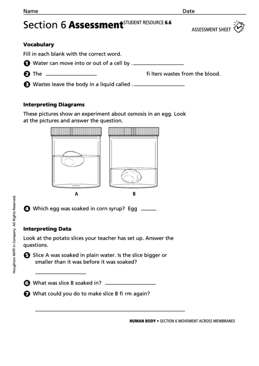 Assessment Sheet - Movement Across Membranes Printable pdf