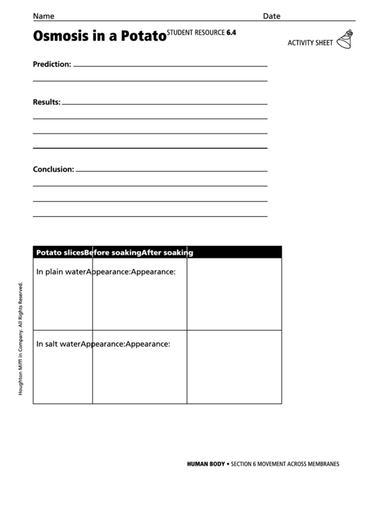 Activity Sheet - Osmosis In A Potato Printable pdf