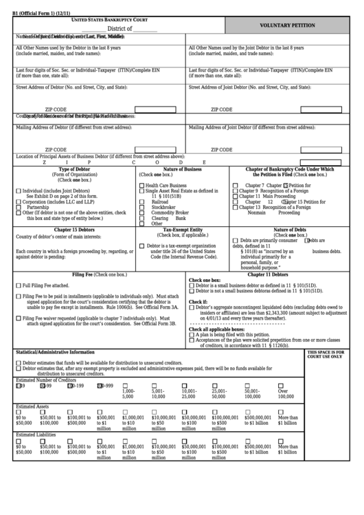 Fillable Form B1 - Voluntary Petition Printable pdf