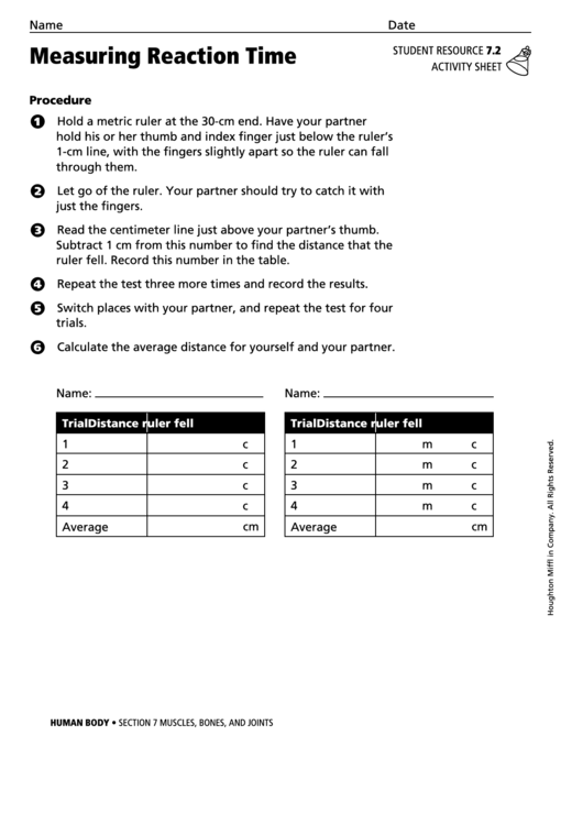 Measuring Reaction Time Activity Sheet Printable pdf