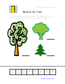 Measure The Trees Worksheet