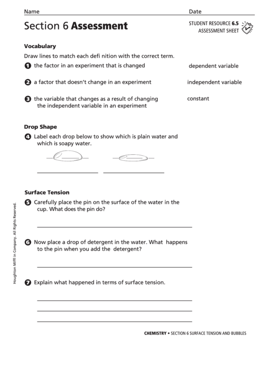 Assessment Sheet - Surface Tension And Bubbles Printable pdf