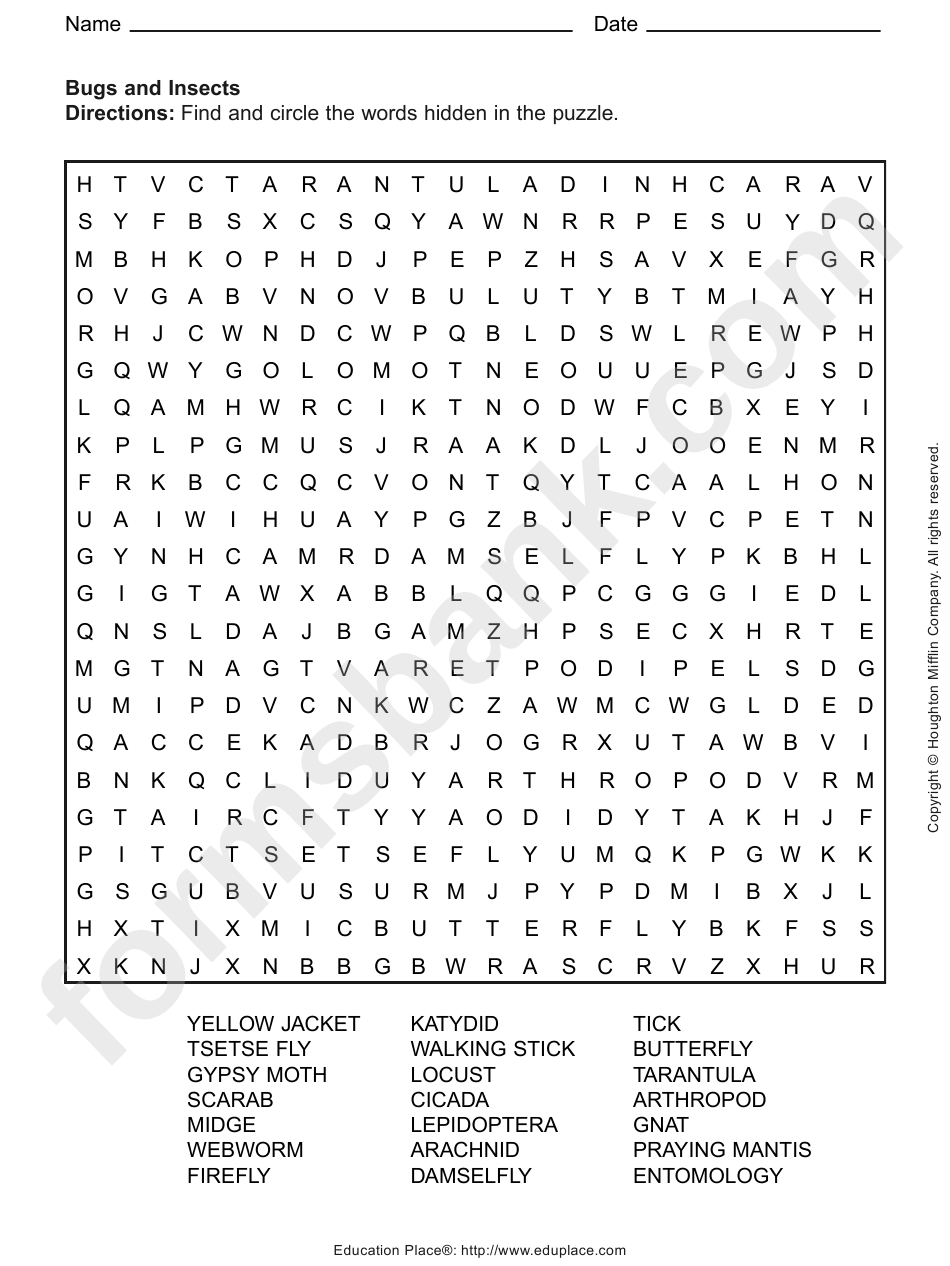 Bugs And Insects Word Search Puzzle Template
