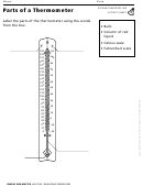 Parts Of A Thermometer Physics Worksheet