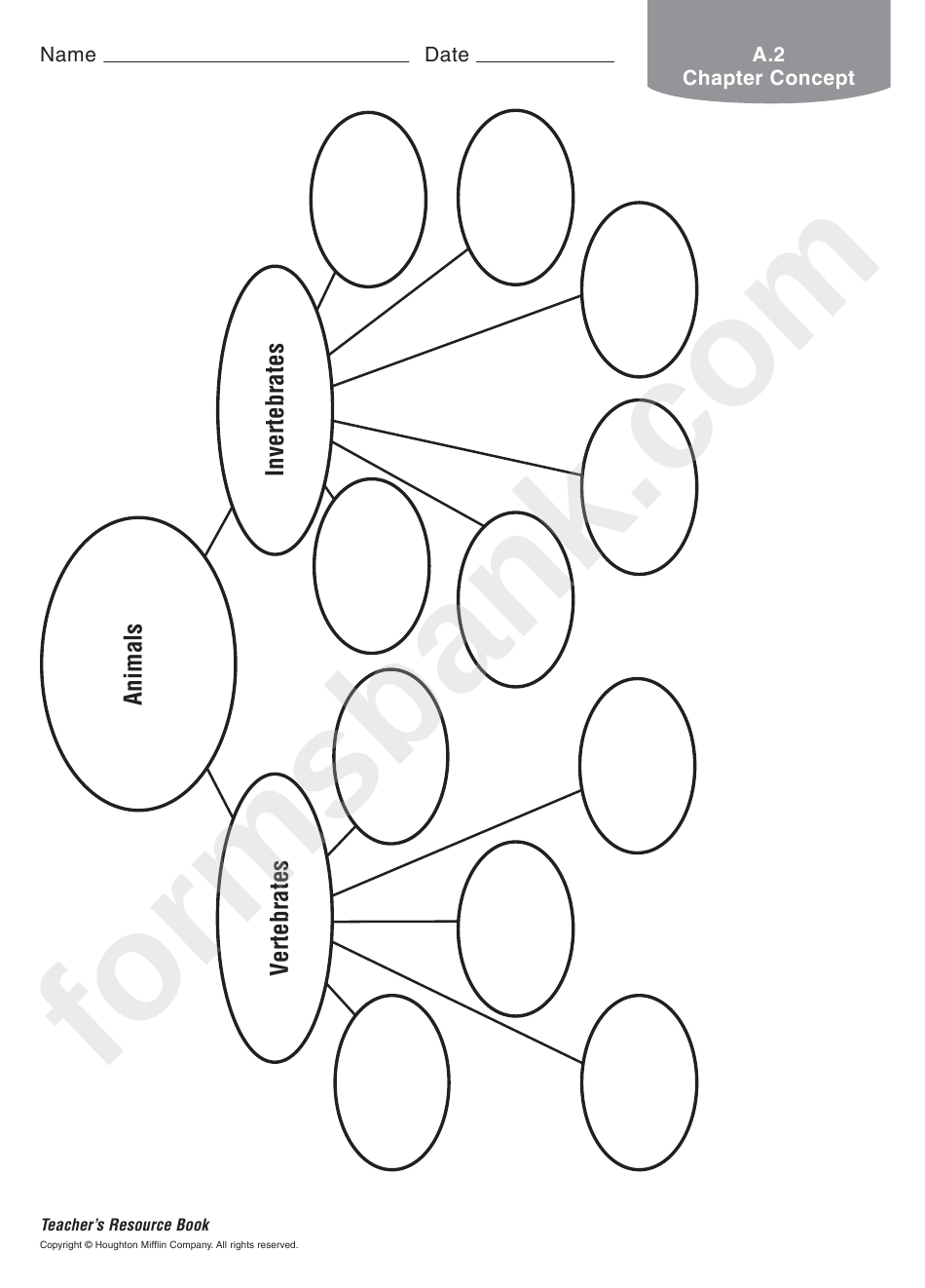 Animals Vertebrates And Invertebrates Biology Worksheet