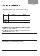 Find Out About Fossils Geology Worksheet
