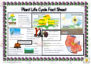 Plant Life Cycle Fact Sheet Classroom Poster Template Printable pdf