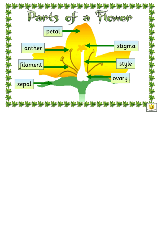 Parts Of A Flower Classroom Poster Template Printable pdf