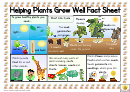 Helping Plants Grow Well Fact Sheet Classroom Poster Template