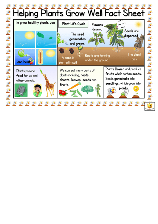 Helping Plants Grow Well Fact Sheet Classroom Poster Template Printable pdf