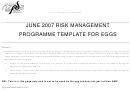 Risk Management Programme Template Printable pdf