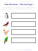 Matching Birds Worksheet