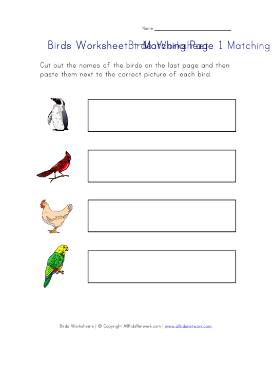 Matching Birds Worksheet Printable pdf