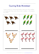 Counting Birds Worksheet