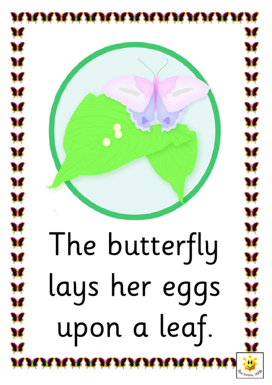 Life Cycle Of A Butterfly Cards Classroom Border Templates Printable pdf