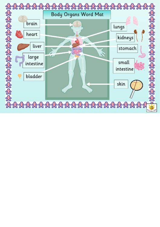 Body Organs Word Mat Classroom Poster Template Printable pdf