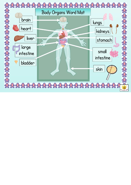 Body Organs Word Mat Classroom Poster Template Printable pdf