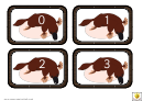Platypus Number Flash Card Template
