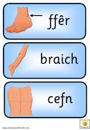 Part Of The Body Poster Template Set (welsh)