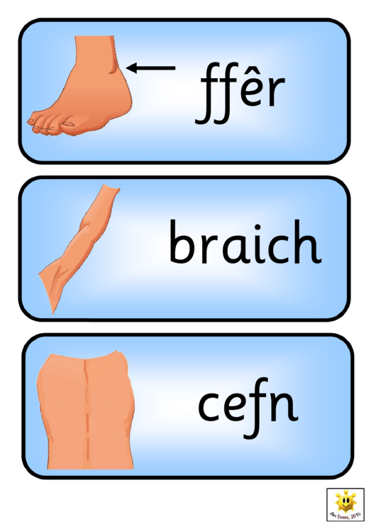 Part Of The Body Poster Template Set (Welsh) Printable pdf