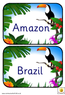 Amazon Word Card Template