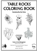 Fillable Table Rocks Coloring Book Printable pdf