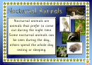 Nocturnal Animals Word Card Template With Descriptions