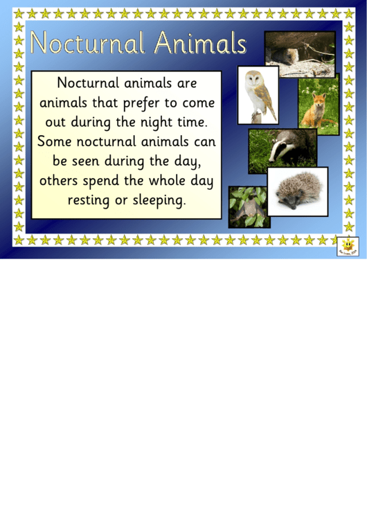 Nocturnal Animals Word Card Template With Descriptions