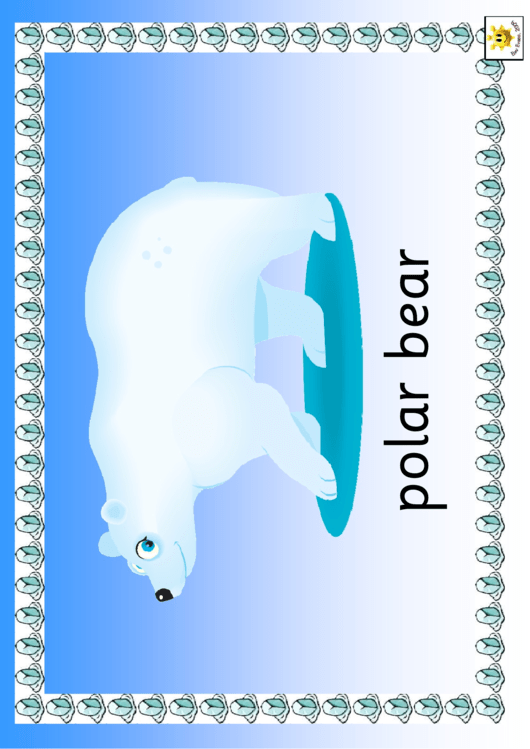 Polar Poster Template