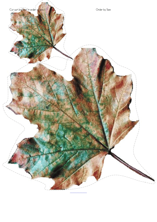 Natural Fall Leaf Template Printable pdf