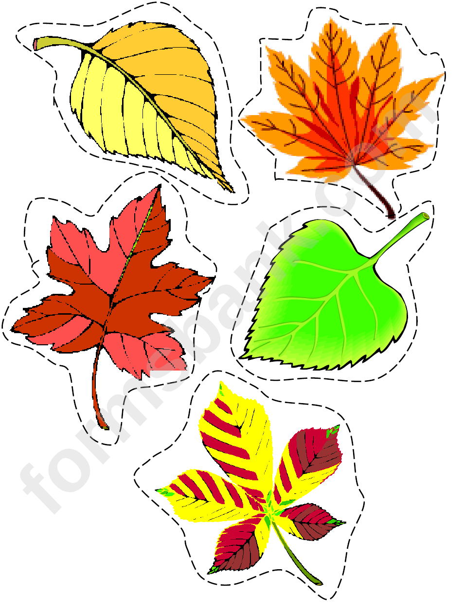 5 Colorful Fall Leaf Template
