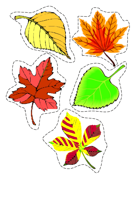 5 Colorful Fall Leaf Template Printable pdf
