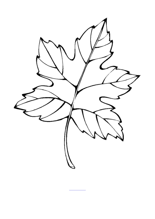 Maple Leaf Coloring Sheet Printable pdf