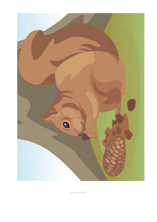 Squirrel Poster Template Printable pdf