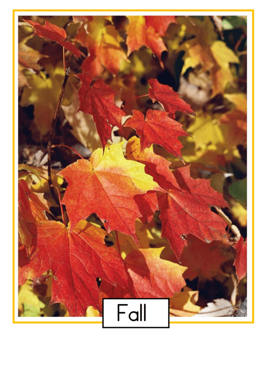 Red Fall Leaf Poster Template Printable pdf