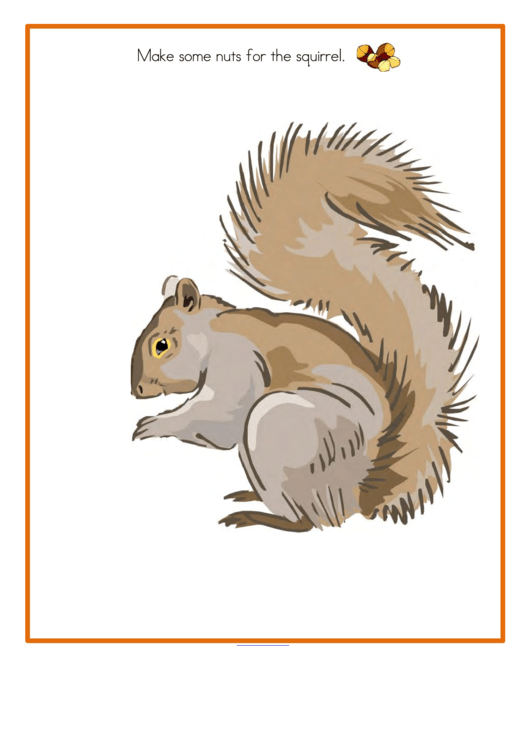 Nuts For The Squirrel - Kids Activity Sheets Printable pdf