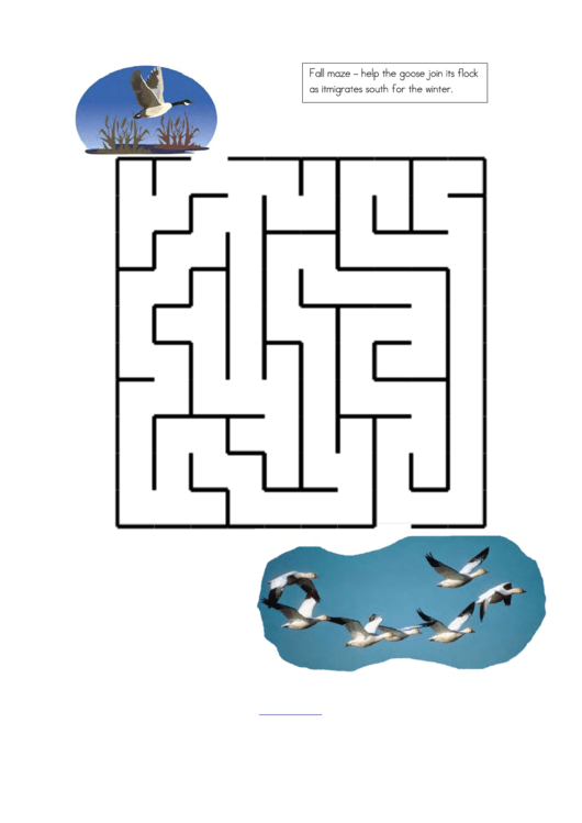 Help The Goose Maze Game Templates Printable pdf