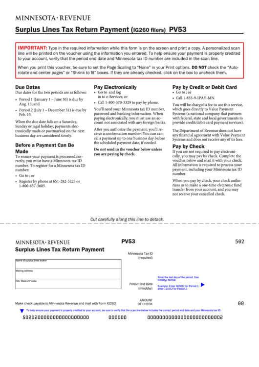 Fillable Form Pv53 - Surplus Lines Tax Return Payment (Ig260 Filers) Printable pdf