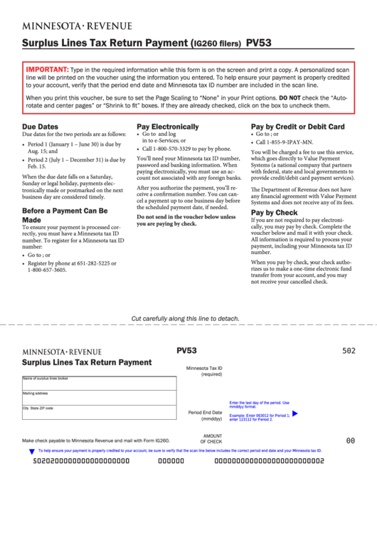 Fillable Form Pv53 - Surplus Lines Tax Return Payment (Ig260 Filers ...