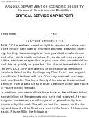 Form Ddd-1432a - Critical Service Gap Report