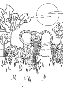 Family Of Elephants Large Coloring Sheet